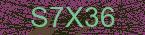 CAPTCHA! is loading. Please wait while load the image. If it is not loaded click here.