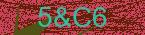 CAPTCHA! is loading. Please wait while load the image. If it is not loaded click here.